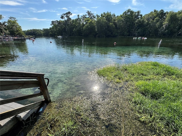 8951 SW 202nd Avenue Rd, Dunnellon, FL 34431 - water view featuring a heavily wooded area