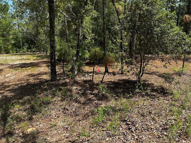 TBD SW 157th Ave, Ocala, FL 34481