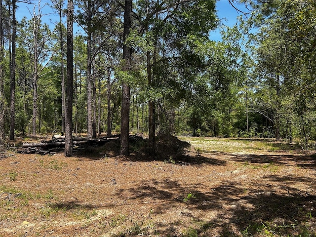 TBD SW 157th Ave, Ocala, FL 34481