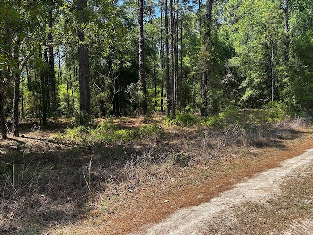 TBD SW 157th Ave, Ocala, FL 34481