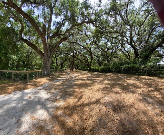 4981 NE 110th St NE, Anthony, FL 32617 - photo 23