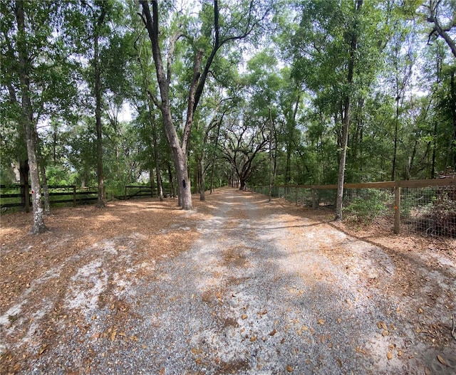 4981 NE 110th St NE, Anthony, FL 32617 - photo 24