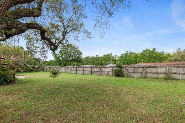 1366 N Merlin Ter, Crystal River, FL 34429 - view of yard featuring a fenced backyard