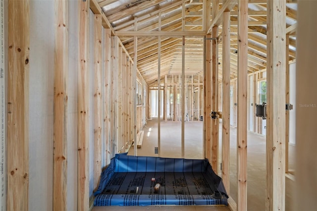 miscellaneous room with vaulted ceiling