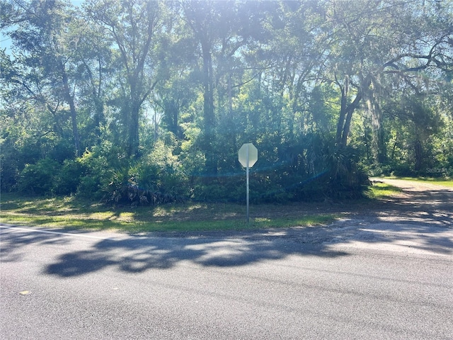 9781 W Pomelo Ln, Crystal River, FL 34428