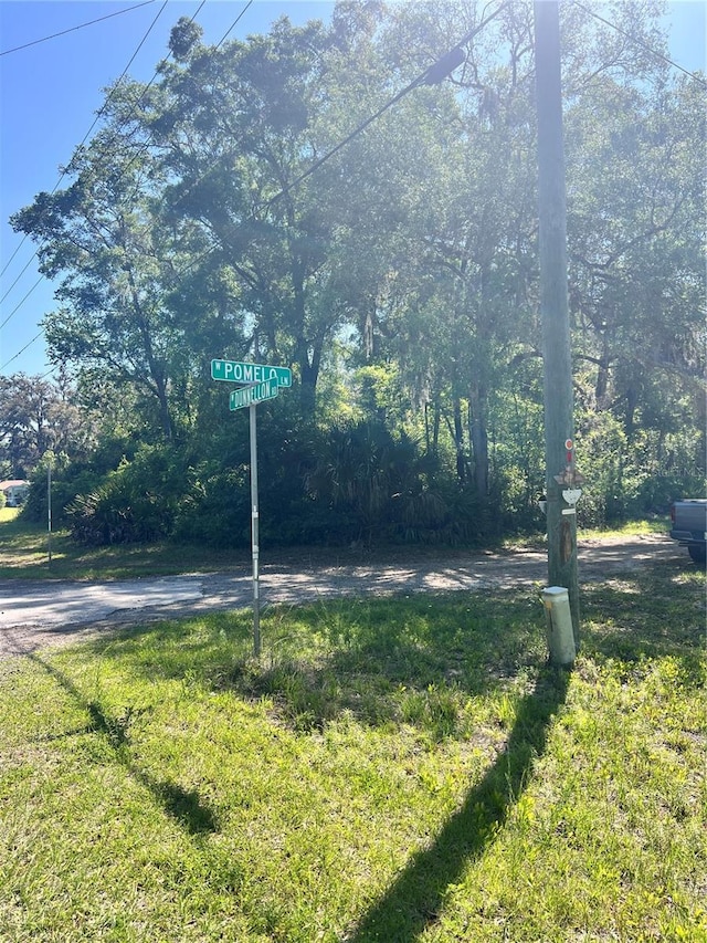 9781 W Pomelo Ln, Crystal River, FL 34428