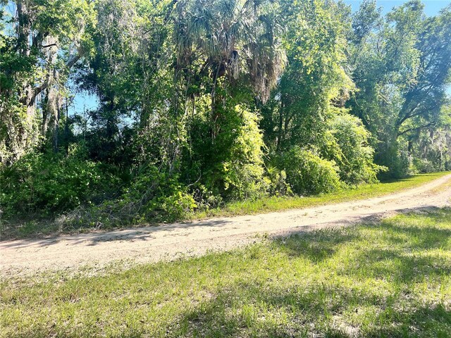 9781 W Pomelo Ln, Crystal River, FL 34428