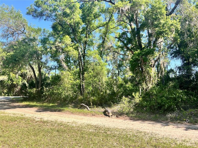 9781 W Pomelo Ln, Crystal River, FL 34428