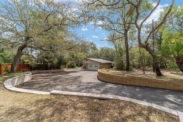 1179 SE 170th Ct, Silver Springs, FL 34488 - view of yard with driveway