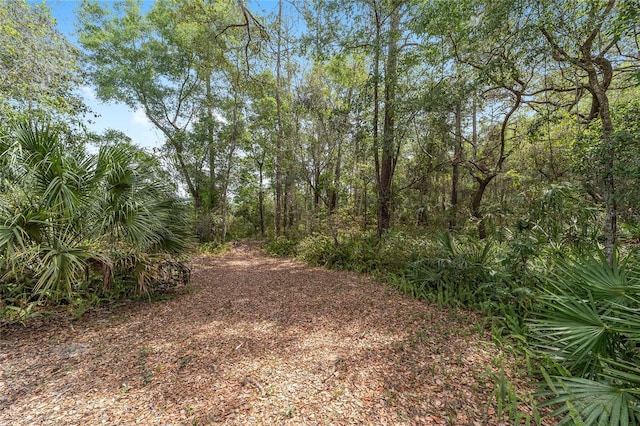 1179 SE 170th Ct, Silver Springs, FL 34488 - view of nature