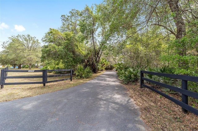 1179 SE 170th Ct, Silver Springs, FL 34488 - view of asphalt road