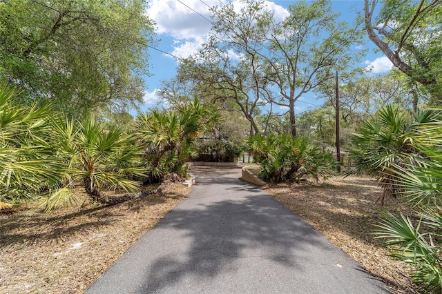 1179 SE 170th Ct, Silver Springs, FL 34488 - view of asphalt driveway