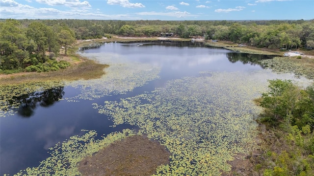 1179 SE 170th Ct, Silver Springs, FL 34488 - water view featuring a heavily wooded area