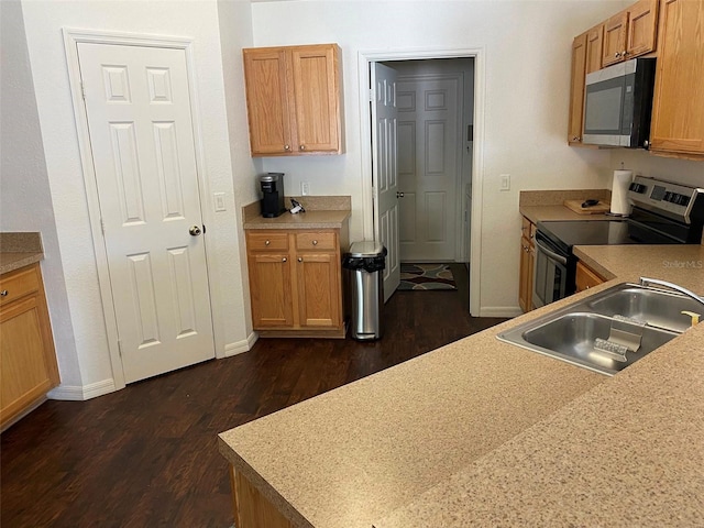 15266 SW 44th Ter, Ocala, FL 34473 - kitchen with baseboards, a sink, dark wood-style flooring, and appliances with stainless steel finishes