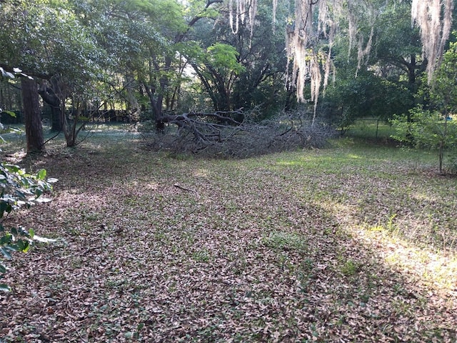 2510 NE 167th Ave, Williston, FL 32696 - view of yard
