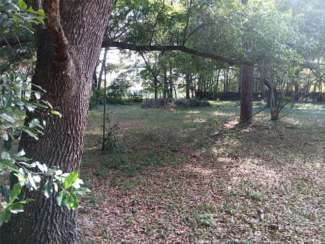 2510 NE 167th Ave, Williston, FL 32696 - view of yard