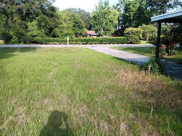 2510 NE 167th Ave, Williston, FL 32696 - view of yard