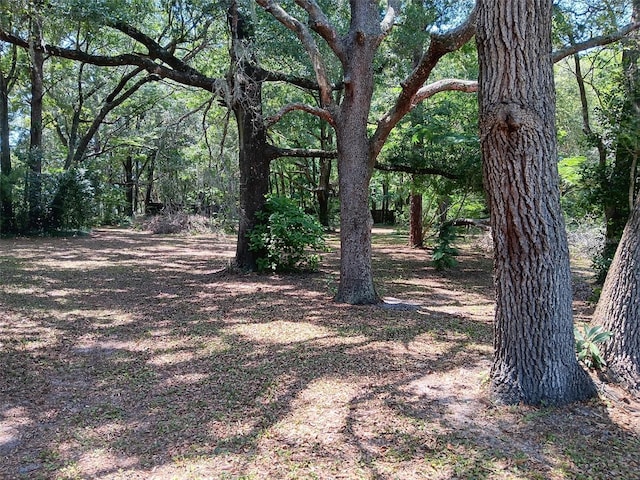 2510 NE 167th Ave, Williston, FL 32696 - photo 40