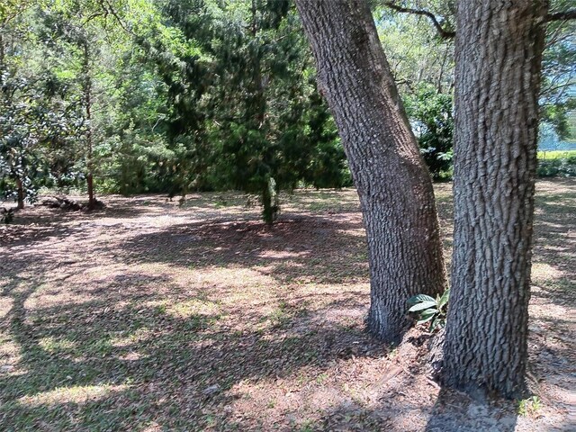 2510 NE 167th Ave, Williston, FL 32696 - photo 42