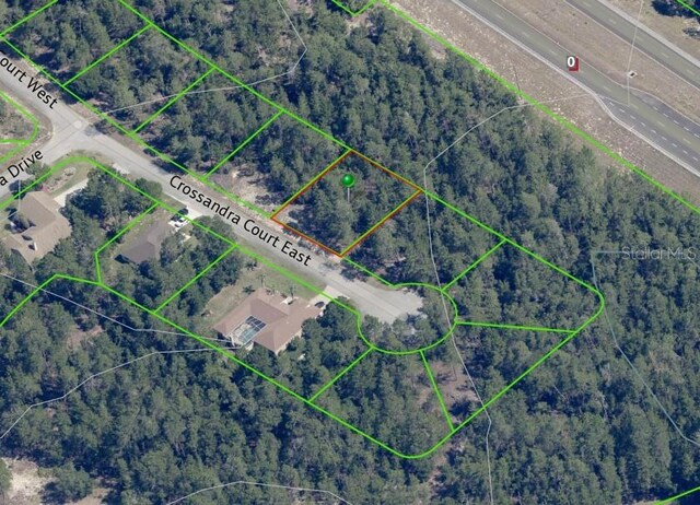 7 Crossandra Ct E, Homosassa, FL 34446 - photo 3