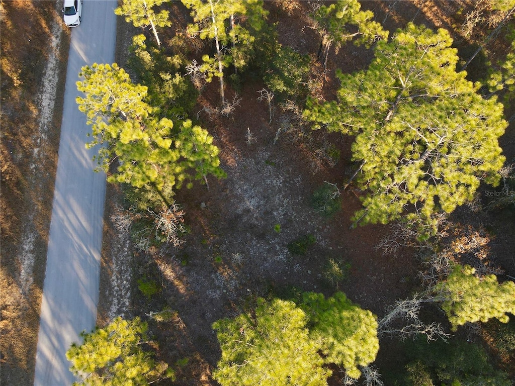 TBD SW Edgewater Blvd, Dunnellon, FL 34431 - photo 1