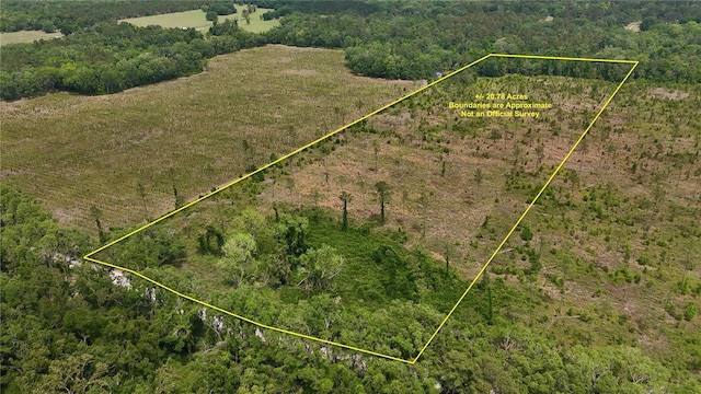 99th Ln, Live Oak, FL 32060