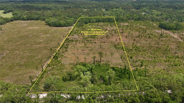 99th Ln, Live Oak, FL 32060