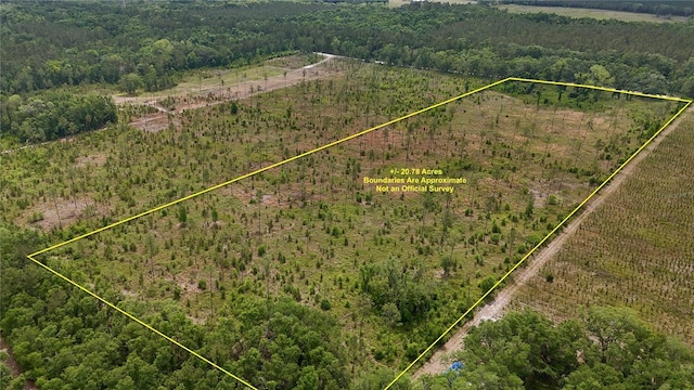 99th Ln, Live Oak, FL 32060