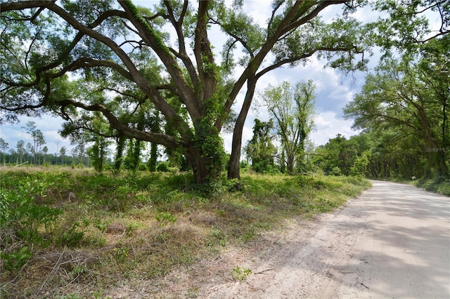 99th Ln, Live Oak, FL 32060