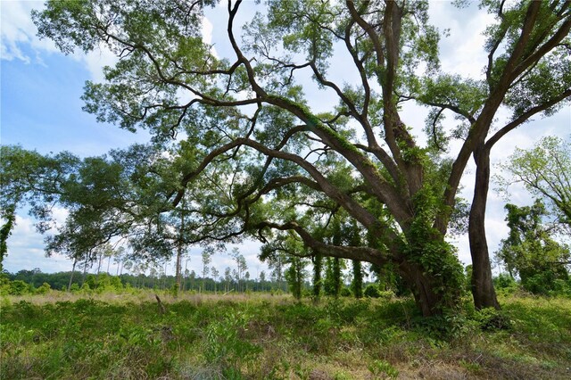 99th Ln, Live Oak, FL 32060