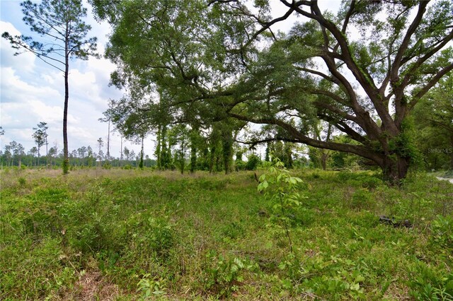 99th Ln, Live Oak, FL 32060