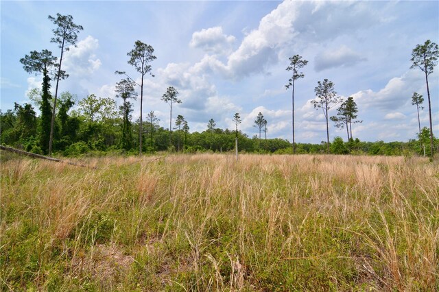99th Ln, Live Oak, FL 32060