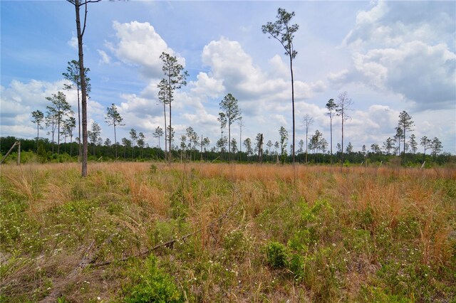 99th Ln, Live Oak, FL 32060