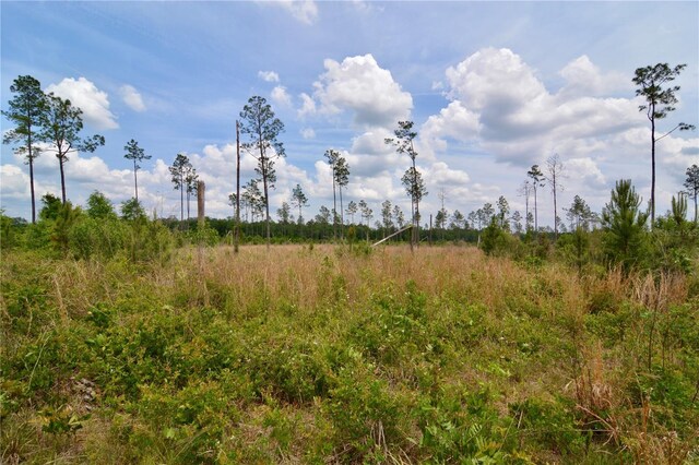 99th Ln, Live Oak, FL 32060