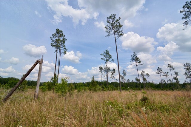 99th Ln, Live Oak, FL 32060