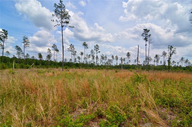 99th Ln, Live Oak, FL 32060