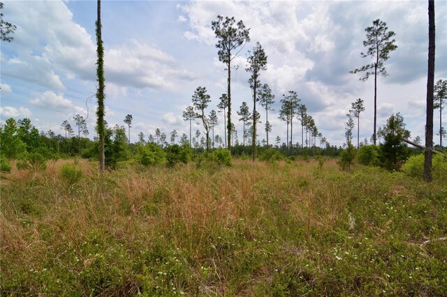 99th Ln, Live Oak, FL 32060
