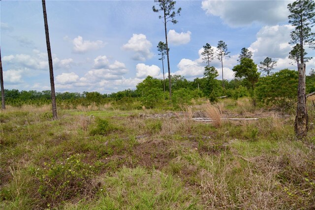99th Ln, Live Oak, FL 32060