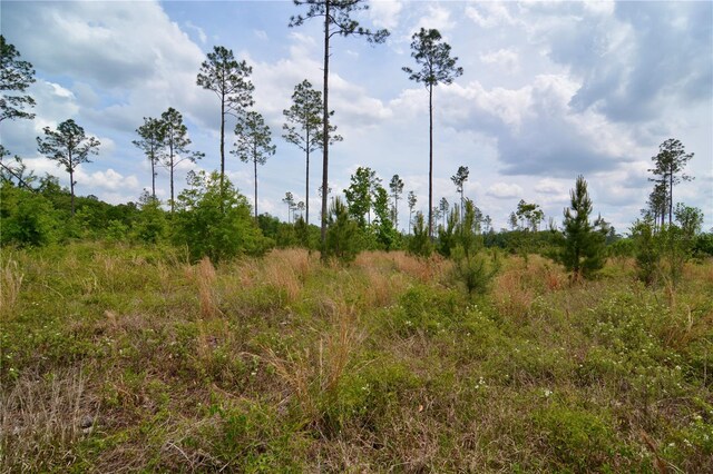 99th Ln, Live Oak, FL 32060