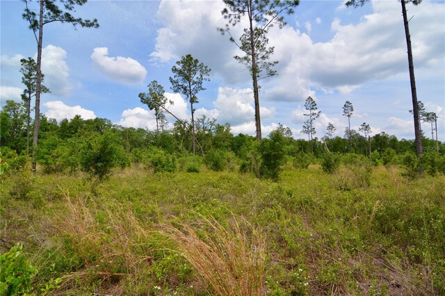 99th Ln, Live Oak, FL 32060