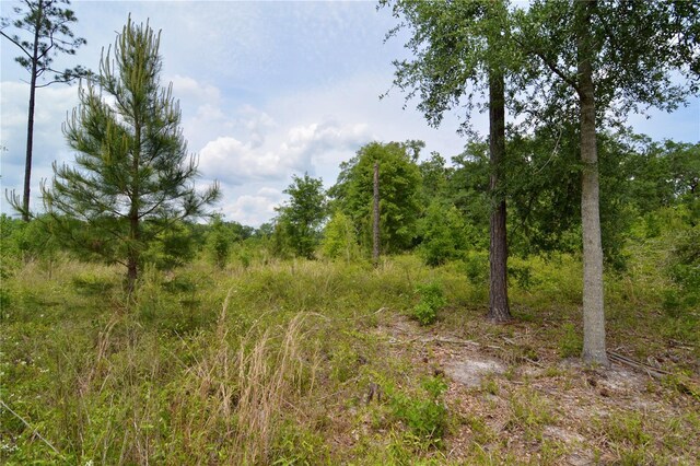 99th Ln, Live Oak, FL 32060