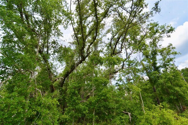 99th Ln, Live Oak, FL 32060