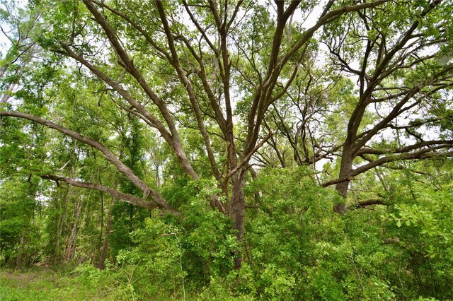 99th Ln, Live Oak, FL 32060