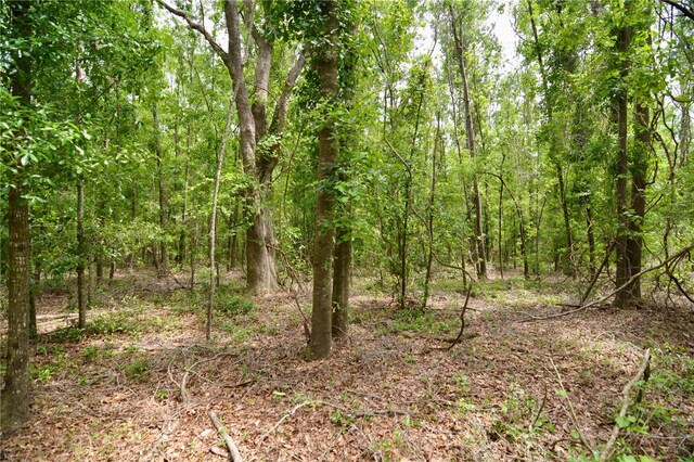 99th Ln, Live Oak, FL 32060