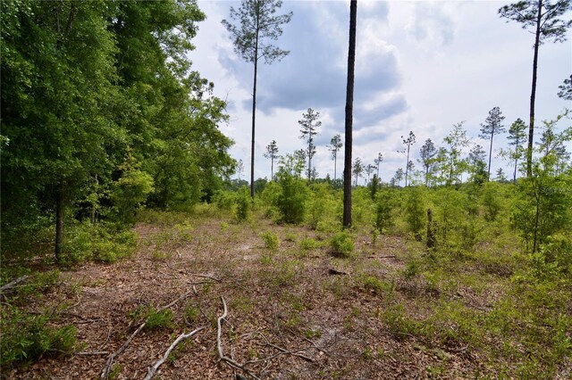 99th Ln, Live Oak, FL 32060