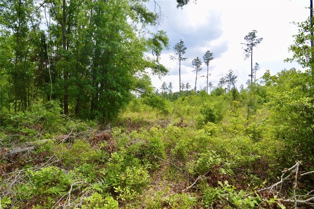 99th Ln, Live Oak, FL 32060