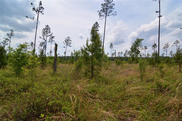 99th Ln, Live Oak, FL 32060