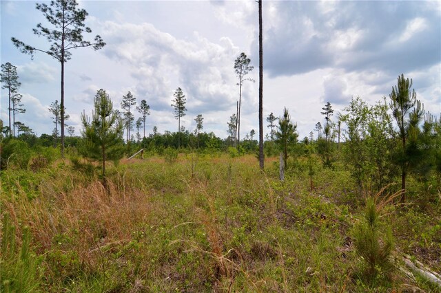 99th Ln, Live Oak, FL 32060