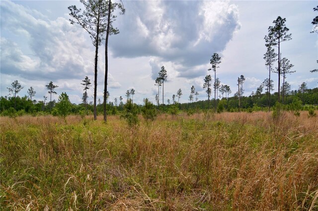 99th Ln, Live Oak, FL 32060