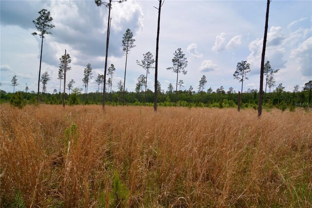 99th Ln, Live Oak, FL 32060
